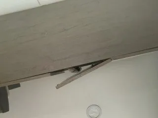 evanshell1 photo 17