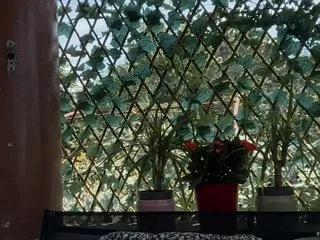 karo131324 photo 18