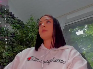 lexistorm photo 18
