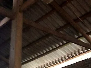 melynaa photo 18