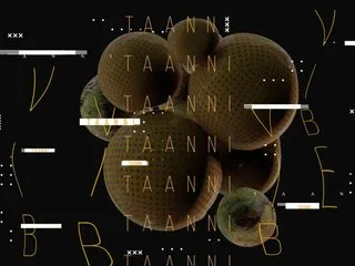 taanni photo 8