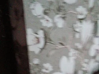zarevna photo 13