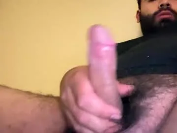 bigcocky02