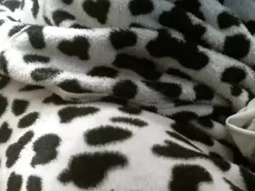 caballeropajero