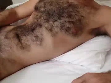 gallobhz