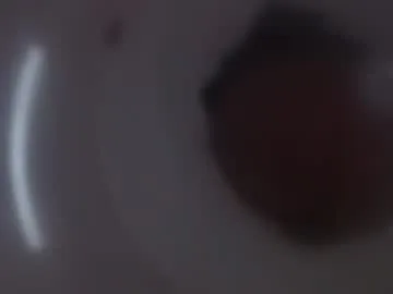 gottapoke25