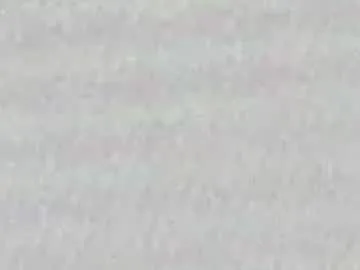 guccipussy1