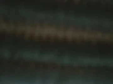 jonbiguy