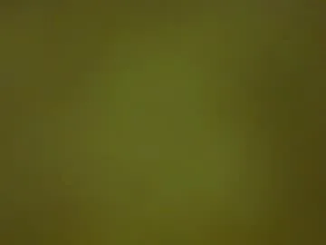 justbuff4