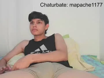 mapache1177