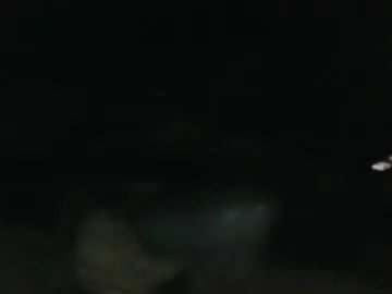 masterbbcworshipme