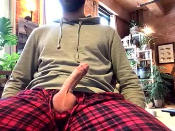 nlvcet