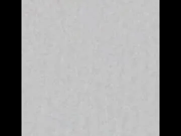 passiva697