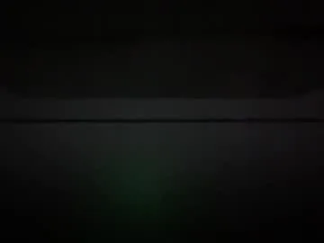 r1dski