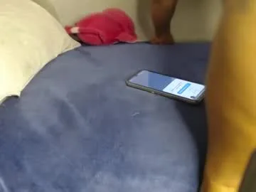 raycatt