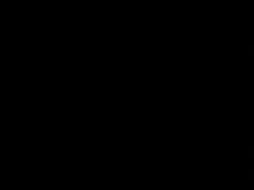 sir907577