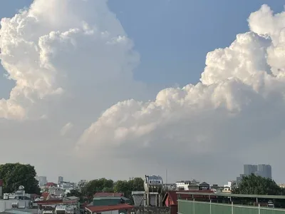 nguyennnnne highlight 2